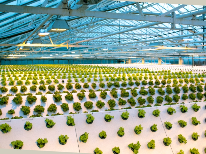 Idé-Pro leverer EPS emner til Danmarks mest miljøvenlige og innovative gartneri