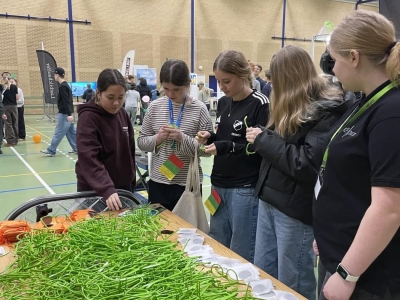 Hvad laver en plastmager?