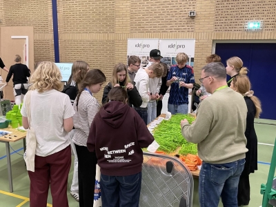 Hvad laver en plastmager?